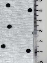 KKP8036-W-SB-321 BR×SD100d Vải Cotton Tenjiku Khổ Rộng Uni Textile Ảnh phụ