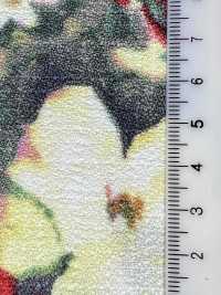 KKP8612-143 Maronica Butcher[Vải] Uni Textile Ảnh phụ