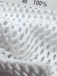 880 [Vải Lót] Ảnh phụ