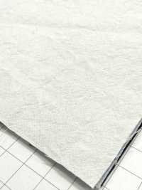 KINANADAKI-31 KINANADAKI 31, Fizz Fizz Fizz Fizz~~[Vải] Dệt May Komatsuwa Ảnh phụ