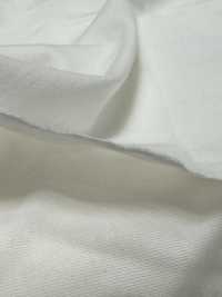 1078420-OUTLET Áo Thun Cotton Albini Sea Vải Cotton Tenjiku Takisada Nagoya Ảnh phụ