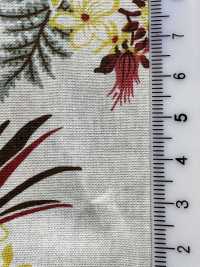 4242 Vải Broadcloth, Phong Cách, Thư Giãn, Biển Nhiệt đới VANCET Ảnh phụ