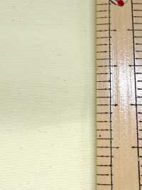 FS003001A Tussah(Ny7OD × Ny160D) Chống Thấm Nước × Lớp Phủ Acrylic[Vải] Ảnh phụ