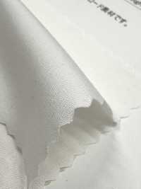 52720 Phillowa® 80/2 Vải Broadcloth Kuwamura Ảnh phụ