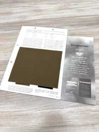 2922 CPT30s vải gabardine da đào Gendai[Vải / Vải] VANCET Hình ảnh bổ sung