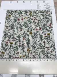 4027-680-3 80 Vải Cotton Lawn Miracle Wave Threaded Botanical Hokkoh Ảnh phụ