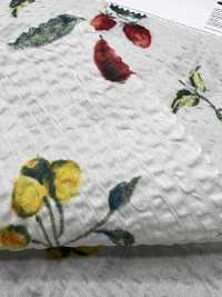 7027-630-5 80 Vải Cotton Lawn Kỳ Diệu Sóng Trái Cây Hokkoh Ảnh phụ