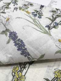 3027-650-1 60 Vải Cotton Lawn Hoa Kẻ Sọc Hokkoh Ảnh phụ