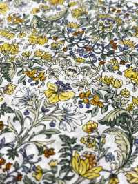 4027-670-3 Laclaw Botanical Botanical Pattern[Vải] Hokkoh Ảnh phụ