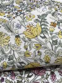 4027-670-3 Laclaw Botanical Botanical Pattern[Vải] Hokkoh Ảnh phụ