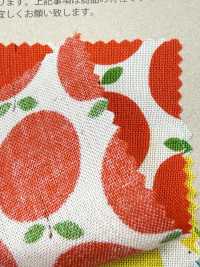 850612 Khăn Quàng Cổ Cotton Chưa Tẩy Trắng, Túi Nhỏ "Rindo"[Vải] VANCET Ảnh phụ