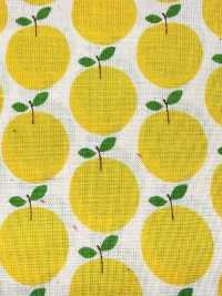 850612 Khăn Quàng Cổ Cotton Chưa Tẩy Trắng, Túi Nhỏ "Rindo"[Vải] VANCET Ảnh phụ
