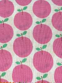 850612 Khăn Quàng Cổ Cotton Chưa Tẩy Trắng, Túi Nhỏ "Rindo"[Vải] VANCET Ảnh phụ