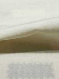 DWFM-DCGAEH0038W Vải Cotton Lawn Cotton Tencel™ Ảnh phụ