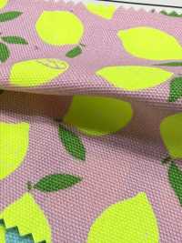 AP65103 Vải Oxford In Huỳnh Quang (Cuộn Tròn) COSMO TEXTILE Ảnh phụ