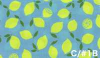 AP65103 Vải Oxford In Huỳnh Quang (Cuộn Tròn) COSMO TEXTILE Ảnh phụ