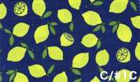 AP65103 Vải Oxford In Huỳnh Quang (Cuộn Tròn) COSMO TEXTILE Ảnh phụ