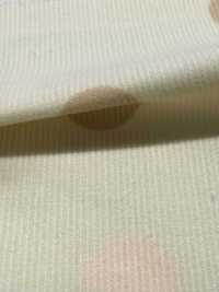 AP65801 Nhung Tăm In Chấm Bi & Kẻ Caro (Cuộn Tròn)[Vải] COSMO TEXTILE Ảnh phụ