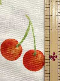 SP2650 Fruits Garden Vải Oxford (Cuộn Tròn) COSMO TEXTILE Hình ảnh bổ sung