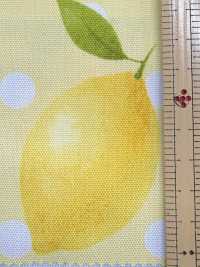 SP2650 Fruits Garden Vải Oxford (Cuộn Tròn) COSMO TEXTILE Hình ảnh bổ sung