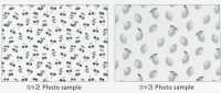 SP2650 Fruits Garden Vải Oxford (Cuộn Tròn) COSMO TEXTILE Hình ảnh bổ sung