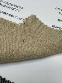 RN8026 GINGA LINEN TWIL[Vải / Vải] KOYAMA Hình ảnh bổ sung