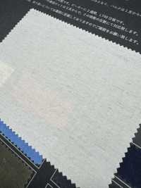 FJ430000 HIYORI vải cotton typewritter cotton/sợi gai dệt Hamakaze[Vải / Vải] Fujisaki Textile Hình ảnh bổ sung