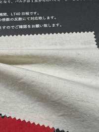 FJ430000 HIYORI vải cotton typewritter cotton/sợi gai dệt Hamakaze[Vải / Vải] Fujisaki Textile Hình ảnh bổ sung