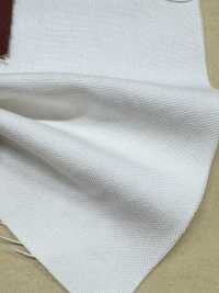 BD7677-P Vải duck kiểu Đức xử lý bio wash[Vải / Vải] COSMO TEXTILE Hình ảnh bổ sung