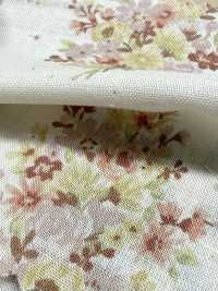 850622 Vải sca cotton chưa tẩy trắng Rurudi Roman Floral Harmony[Vải / Vải] VANCET Hình ảnh bổ sung