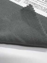 ORF72485 Sợi xoắn mạnh × linen, vải gabardine cotton lanh giòn[Vải / Vải] Oharayaseni Hình ảnh bổ sung