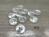 BX1007 Cúc Hai Lỗ Nhựa Resin Polyester IRIS Ảnh phụ
