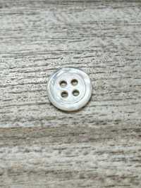 SW17-OUTLET Cúc Vỏ Trai- Xà Cừ IRIS Ảnh phụ