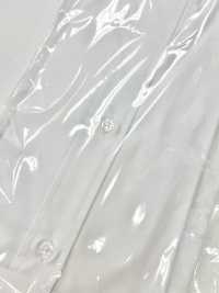 ST-103 Áo Sơ Mi Ikamune Cổ Cánh[Lễ Phục Kiện Trang Trọng] Yamamoto(EXCY) Ảnh phụ